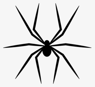 Spider Vector Png, Transparent Png, Transparent PNG