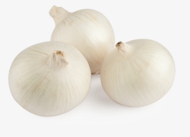 White Onion - Cebolla Blanca Png, Transparent Png, Transparent PNG