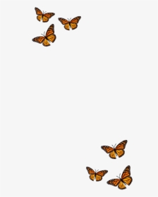 #filter #butterfly #orange #black #aesthetic - Monarch Butterfly, HD Png Download, Transparent PNG