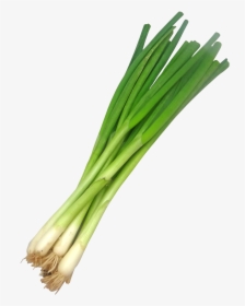 Spring Onions Transparent Background, HD Png Download, Transparent PNG