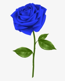 Svg Blue Rose Clipart - Single Blue Rose Flower, HD Png Download, Transparent PNG