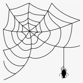 Halloween Spider Png Free Download - Transparent Background Spider Web Clipart, Png Download, Transparent PNG