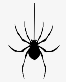 Spider, Silhouette, Halloween, Insect, HD Png Download, Transparent PNG