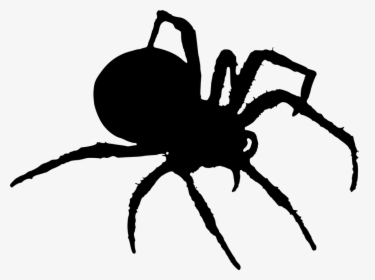Spider, Silhouette, Halloween, Insects, HD Png Download, Transparent PNG