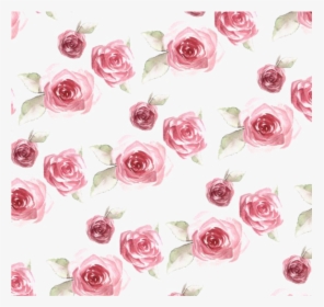 Ftestickers Watercolor Roses Background Overlay - Rose Pattern, HD Png Download, Transparent PNG