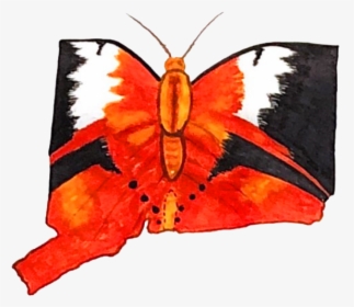 Butterfly - Brush-footed Butterfly, HD Png Download, Transparent PNG
