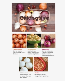 Onion Guide - Onions, HD Png Download, Transparent PNG