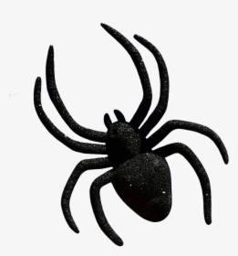Spider, Halloween, Accessories, Cropping, Exemption - Halloween Spider, HD Png Download, Transparent PNG