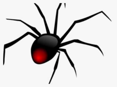 Transparent Backyard Clipart - Black Widow Spider, HD Png Download, Transparent PNG