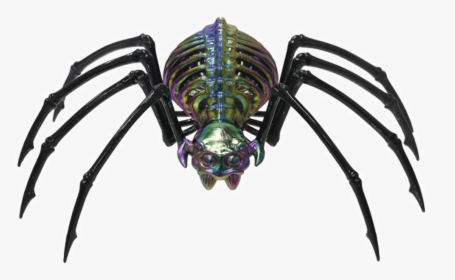 Transparent Halloween Spider Png - Skeleton Spider, Png Download, Transparent PNG