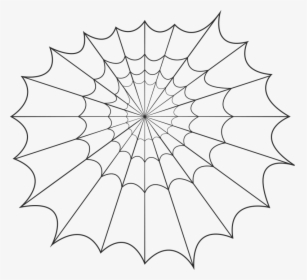 Spider, Web, Halloween, Spooky, Horror, Bug, Insect, HD Png Download, Transparent PNG