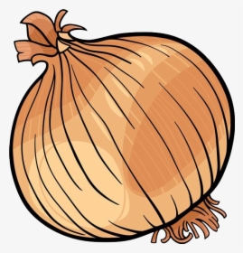 Onion Clipart Fruit Vegetable - Onion Black And White, HD Png Download, Transparent PNG