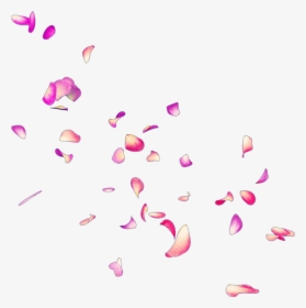 #petals #petalos #pétalos #pétalo #petalo #petal #rose - Petalos De Rosas Rosas Png, Transparent Png, Transparent PNG