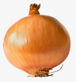 Onion Links - Onion One, HD Png Download, Transparent PNG