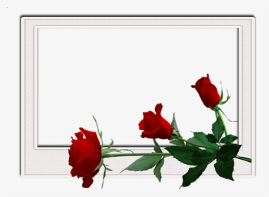 Free Png Best Stock Photos Flowers Frame Background - Transparent Background Flowers Frames, Png Download, Transparent PNG
