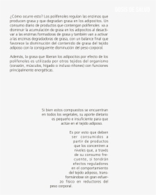 Feliz Año Nuevo 2017 Png, Transparent Png, Transparent PNG