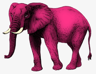 Pink Elephant Clip Arts - Big Pink Elephant Clipart, HD Png Download, Transparent PNG