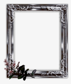 Picture Frame, Black, Empty, Border - Empty Pictures Of Border, HD Png Download, Transparent PNG