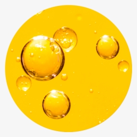 Circle, HD Png Download, Transparent PNG