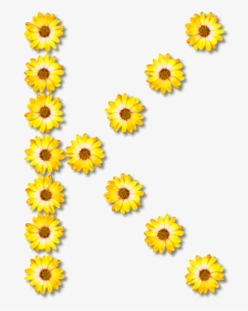 Sunflower Seed,chrysanths,plant - Common Daisy Flower, HD Png Download, Transparent PNG