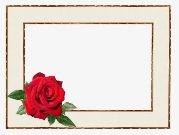 Picture Frame Empty Margin Free Picture - ברכות ליום הולדת לסבתא, HD Png Download, Transparent PNG