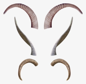Animal, Horns, Antlers, Fantasy, Creature, Demon, Devil - Devil Goat Horns Png, Transparent Png, Transparent PNG