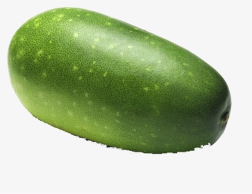 Cucumber Cantaloupe Wax Melon Vegetable Ⓒ - Zucchini, HD Png Download, Transparent PNG