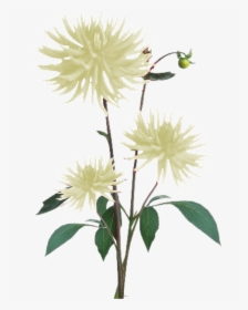 Flower Plant Texture Png, Transparent Png, Transparent PNG