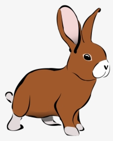 Sad Puppy Clipart - Rabbit Clipart, HD Png Download, Transparent PNG