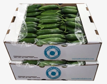 Picture - Cucumber Wholesale In Boxes, HD Png Download, Transparent PNG