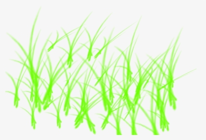 Clip Art Grass Texture Png For - Fondos Png Para Photoshop, Transparent Png, Transparent PNG
