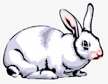 Rabbit Clip Art Images Free Clipart Png - Rabbit Clipart Png, Transparent Png, Transparent PNG