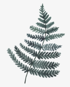 Green Leaf Illustration Watercolor Painting Leaf Illustration - Watercolor Leave Gray Png, Transparent Png, Transparent PNG
