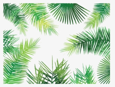 Asian Palmyra Palm Arecaceae Palm-leaf Manuscript Tree - Palm Leaves Pattern Png, Transparent Png, Transparent PNG