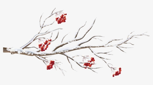 Clipart Tree Winter - Winter Tree Branch Clipart, HD Png Download, Transparent PNG