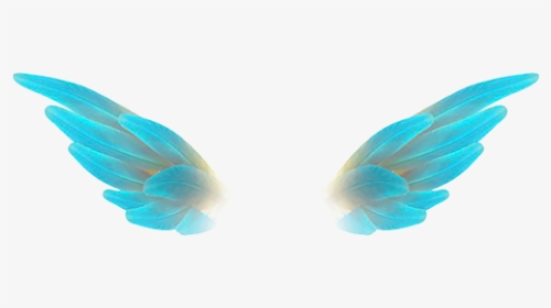 #angelwing #freetoedit #angelwings #ftestickers #wing - Earrings, HD Png Download, Transparent PNG