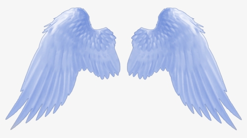 #angel #wings #blue #bluewings #angelwings - Angel Wings Gif Transparent, HD Png Download, Transparent PNG