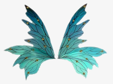 #asas #fada #wings #fairy From Google - Illustration, HD Png Download, Transparent PNG