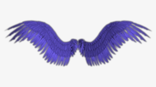 Small Angel Wings Png, Transparent Png, Transparent PNG