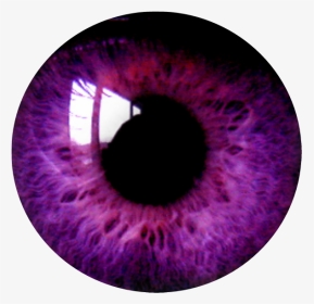 #circle #png #tumblr #aesthetic #remixit #círculo #freetoedit - Purple Eye Transparent Background, Png Download, Transparent PNG