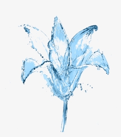 0 Picture, Flower In The Water - Waterflower Png, Transparent Png, Transparent PNG