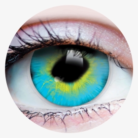 Primal® Strange   Class - Reptilian Red Contact Lenses, HD Png Download, Transparent PNG