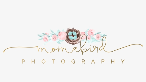 Scottsdale Newborn Photographer » Momabird Photography - Garden Roses, HD Png Download, Transparent PNG