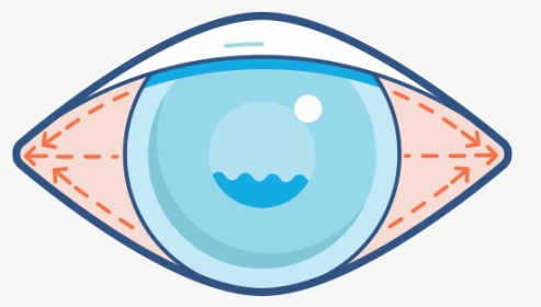 Circle, HD Png Download, Transparent PNG
