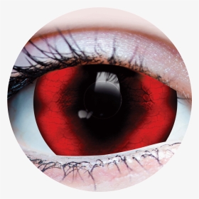 Halloween Costume Contact Lens - Reptilian Red Contact Lenses, HD Png Download, Transparent PNG