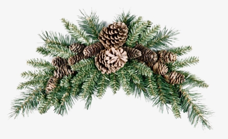 Pinecone Png Picture - Christmas Swag, Transparent Png, Transparent PNG