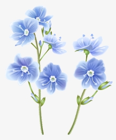 Wildflower Clipart Transparent Background - Wild Flower Png, Png Download, Transparent PNG