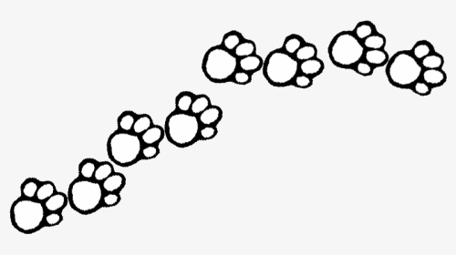 Wildcat Clipart Bear Claw - Printable Paw Clipart Black And White, HD Png Download, Transparent PNG
