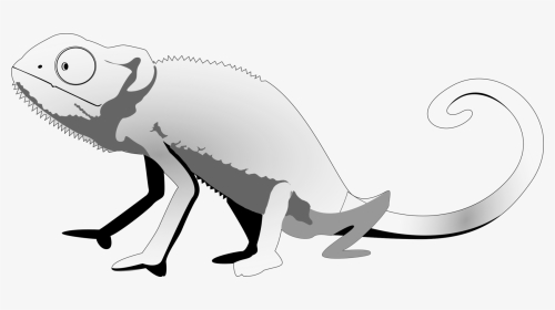 Jpg Black And White Stock Lizard Common Gecko Clip - Iguana Black And White, HD Png Download, Transparent PNG