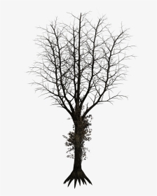 Black Trees Png - Dark Trees Png, Transparent Png, Transparent PNG